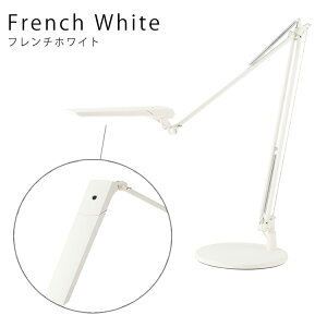 yr[Ńv[gzfXNCg Xd LEDIC EXARM DIVA GOU[ LEX-997 x[X^Cv { fXNX^h Cg Led   F  rO p\R ubL[