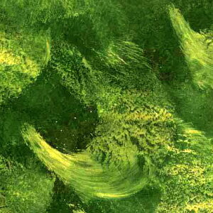 OXA[gp@OXA[gtB@lnF@TM1ytH[Xgz