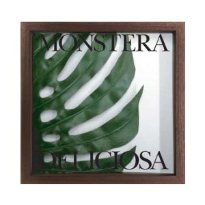 F-Style Frame Monstera deliciosa 1 ≪リーフパネル≫ エフスタイルフレーム　モンステラデリシオサ1