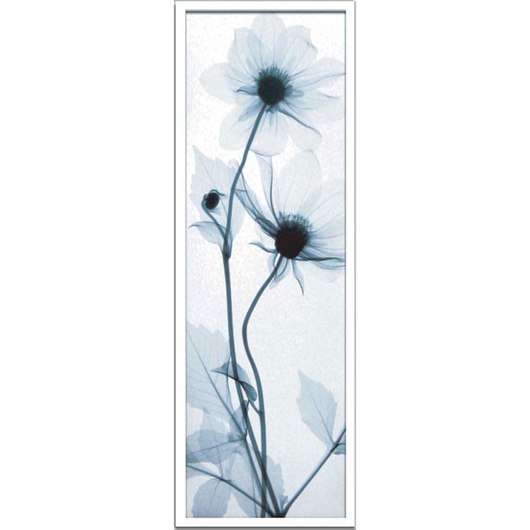 X線レントゲン写真撮影した植物 花のアートポスター 割引も実施中 フレームシリーズ 《アートフレーム》Steven N.Meyers Dahlia スティーブン ダリア 81％以上節約 Tall マイヤーズ