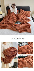 毛布 ブランケット 秋冬用 もうふ ふんわり ふわとろ シングル あったか 暖かい 厚手 もこもこ おしゃれ オールシーズン セミダブル ダブル ハーフ ひざ掛け 膝掛け 掛け毛布 静電気軽減 洗