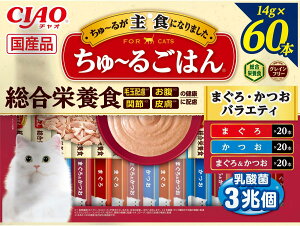 `I (CIAO) ~邲͂ ܂EoGeB 60{