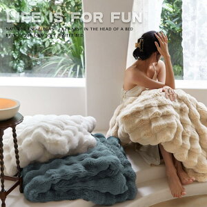 【SNSで話題沸騰】毛布 ふわとろ毛布 もこもこ毛布 ブランケット モコモコ とろとろ ふわふわ 毛布 シングル ダブル ハーフ ふわもこ ひざ掛け もうふ おしゃれ 暖かい 厚手 エコテックス 軽
