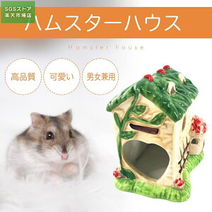 nX^[nEX  킢 gC Ђ xbg 悯