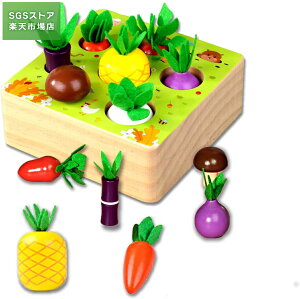 SSԍő64OFF/ؐpY eb\[ _앨{[hQ[ ؐ ܂܂ ԔF `F FF qW[ߋMtga v[g 蕨 oYj NX