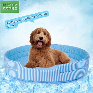 ybgxbh ėp  L 􂦂 ΍ ACXVNn ^p NbV ybg }bg xbh Lp Mǖh zMf NbV N[Q}bg _炩  M