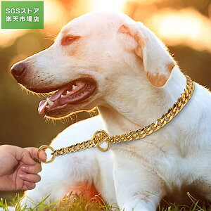 X[p[DEAL10|Cg/hbOS[h`F[ L[oN ̎ 18K S[h   15mm ͂ȃXeX|̋N lbNX ^^^p