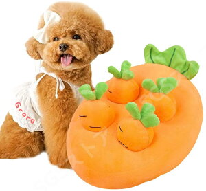 X[p[DEAL10|Cg/g p m m[Y[N B koP}bg Pѕz a}bg kpbh ybg /W͌/koP  ^s