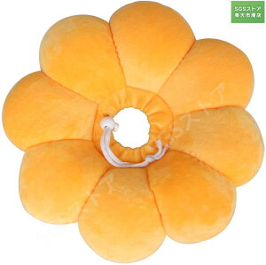 GUxXJ[ Lp p ybgpi rߖh~ p Ђ܂^ ߉\ _炩  y ʋC ی