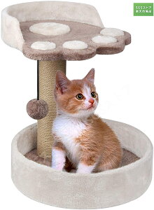 X[p[DEAL10|Cg/Lp Lbg^[ lR^[ ȔL qL ~j^ ܂Ƃ ߋt Q^[ L̂ RpNg gȒP