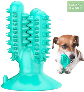 X[p[DEAL10|Cg/̎uVނጢ̎̃N[jOXeBbNAqubVOȌoPAp^^iu[j