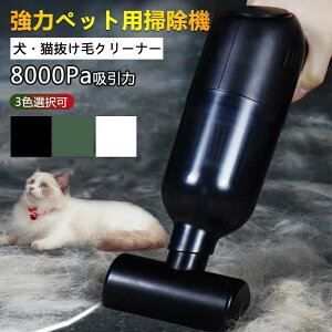 ybgwAGNXgN^[ ё΍IR[hX|@ N[i[ ybgp|@ Lp USB[d 8000Pa 2000mAhe ybg̖ё| ƒp ԗp