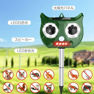 OgL܃A[eBt@Ng܍RLC^`nCp[鋭͂ȓ܂ƃwr܁i_J[j