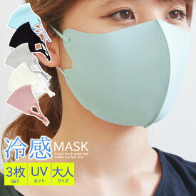 マスク 冷感 3枚セット 大人 洗える 夏のマスク 夏用 冷感素材 小さめ 大人用 メンズ レディース (ft-mask11m) 花粉対策 UVカット 立体マスク ナツノマスク【メール便送料無料】