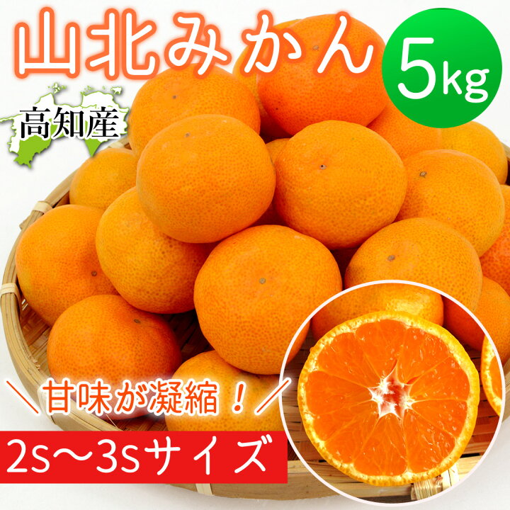 楽天市場】【100円OFFクーポン】みかん 山北みかん 高知産 約5kg 蜜柑 