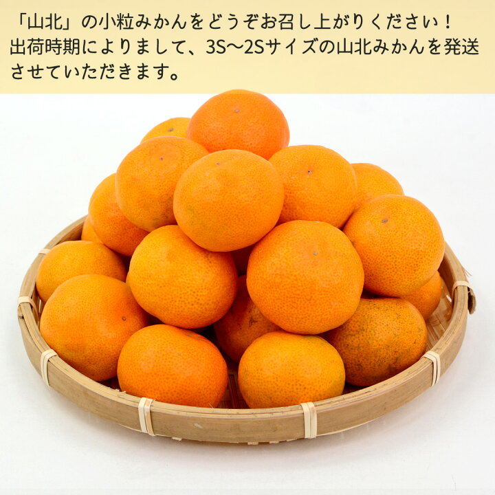 楽天市場】【100円OFFクーポン】みかん 山北みかん 高知産 約5kg 蜜柑 