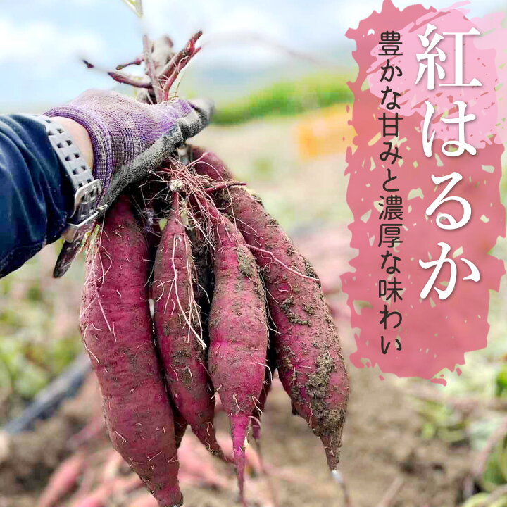 楽天市場】【いの産直】 さつま芋 紅はるか 2kg 4kg 自然栽培 無農薬 