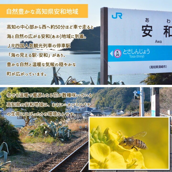 楽天市場】日本ミツバチ 蜂蜜 300g 安和 奥四万十産 日本みつばち 
