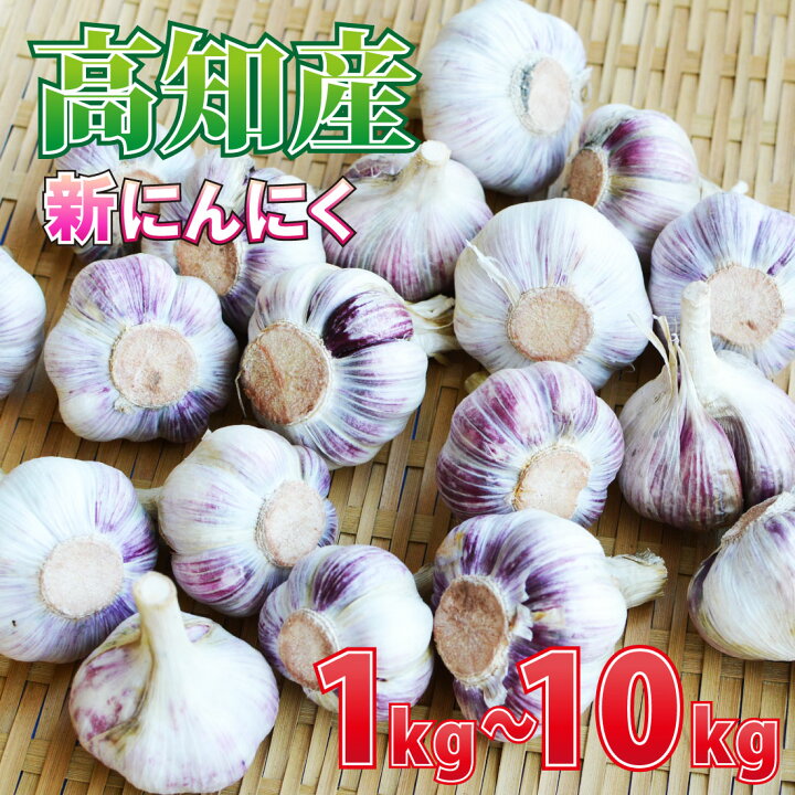 楽天市場】高知県産 生にんにく 1kg～10kg 令和6年産 新物 今だけ 国産 