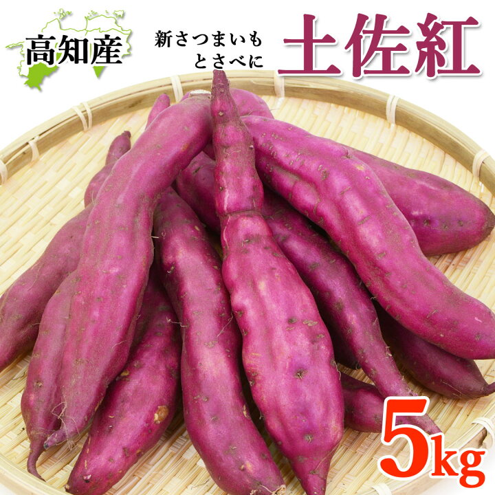 楽天市場】高知産 新いも 新さつまいも 5kg 土佐紅 新芋 早掘り芋 高知 