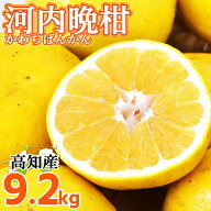 河内ばんかん 高知県産 宿毛 特産 河内晩柑 9.2kg L〜4L サイズ不揃い 家庭用 美生柑 生産農家直送 夏文…