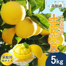 【予約】文旦 土佐文旦 家庭用 小 Mサイズ 14〜16玉 5kg 宿毛文旦 産直 千の果樹園 宿毛 ぶんたん 宿毛市 産地直送 高知産 宿毛産 5キロ ジューシー まろやか 高知 ブンタン 届いてすぐに食べれる追熟文旦【送料無料】