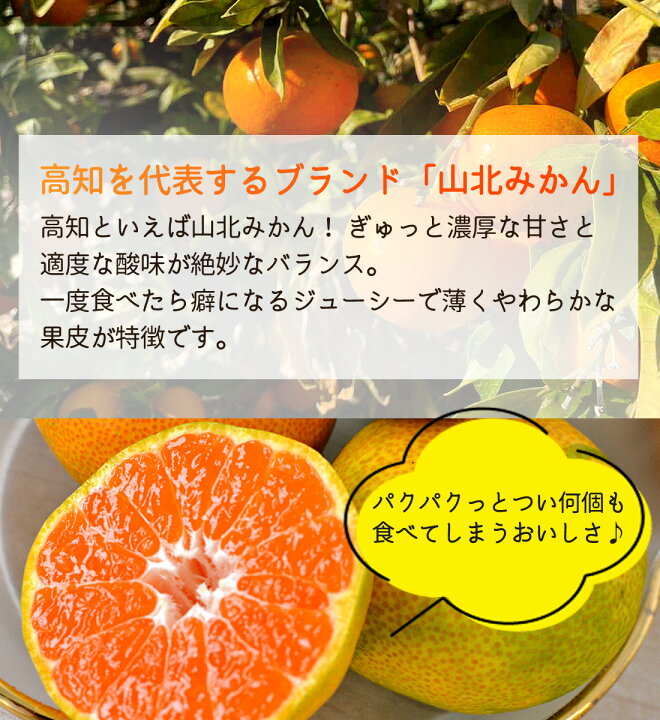 楽天市場】みかん 山北みかん 高知産 約5kg 蜜柑 温州みかん 露地 