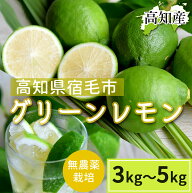 グリーンレモン 無農薬 高知産 レモン 檸檬 国産 皮ごと食べられる 国産レモン 産地直送 高知県宿毛市 産…