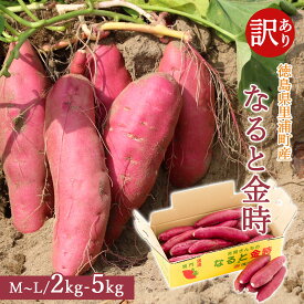 【予約】【産地直送】 訳あり さつま芋 鳴門金時 洗い 2kg 3kg 5kg M L 徳島県 鳴門 里浦産 美味しい 芋 さつまいも なると金時 焼きいも サツマイモ 国産 生芋 薩摩芋 まとめ買い 農家直送 ギフト のし対応 吉岡さんちのなると金時【送料無料】