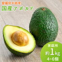 産地直送 国産アボカド 1kg 4〜6個 サイズ不揃い 家庭用 アボガド 1キロ ベーコン フェルテ ピンカートン 瀬戸内海 離…