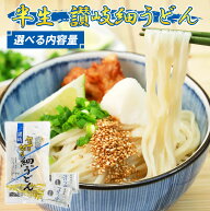 讃岐うどん 富田屋 麺つゆ付 半生 細麺 半生うどん 細うどん 半生包丁切り 230g 20食 40食 セット さぬき…
