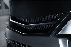 SADJX^(SAD-CUSTOM) New AGENT^Cv4 200nnCG[XCh{fB [Op_Nglbg