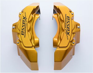 GZbNX(ESSEX/CRS)Lp[Jo[Ver3yLfBCG[z200nnCG[X