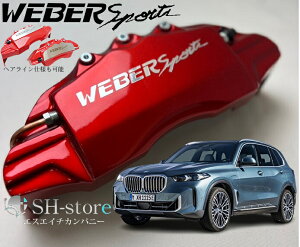 BMW(X5�V���[�YF15/E70/E53)�L�����p�[�J�o�[�t�����g/���A1�䕪�Z�b�g+�w�A���C����p�v���[�g �E�F�o�[�X�|�[�c(WEBERSPORTS)