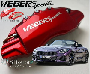 BMW Z4(G29/E89/E86/E85)Lp[Jo[tg/A1䕪Zbg+wACpv[g EFo[X|[c(WEBERSPORTS)