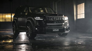 300nhN[U[ yGA4_Zbgz X|[cCubNoC\GfBV @h(WALD)