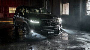 300nhN[U[ GA2_Zbg X|[cCubNoC\GfBV @h(WALD)