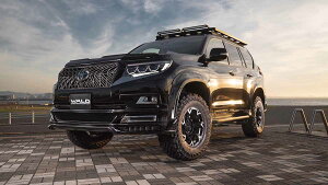 hN[U[vh150n yGA4_Zbgz X|[cCubNoC\GfBV @h(WALD)