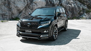 hN[U[vh150n yGA2PZbgz X|[cCubNoC\GfBV @h(WALD)