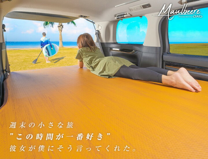 楽天市場】90系ノア・ヴォクシー ギャルソン(GARSON) DADかんたん車 