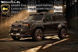 250nhN[U[ GA4PLbg(F.S.R.O/F)h/LEDvmfU[gCEubNoC\GfBVn@h(WALD)