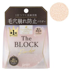 常盤薬品 SANA サナ 毛穴パテ職人 毛穴崩れブロックパウダー お肌を明るく見せる肌なじみのいいピンクベージュ 13g