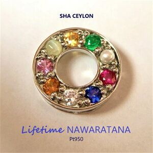 i^i Pt950 A~bg }`J[ y_ggbv lbNX Tt@CA K[lbg LbcAC Gh r[ AR^ 9 { XJ  m ` J^ 