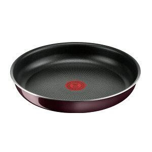 eBt@[ T-fal CWjIElI Be[W{h[ECeX tCp 26cm L43905 ̎tCp KXΗpEIHɂ͑ΉĂ܂