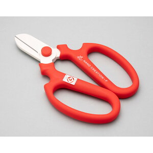 Ԃ͂ nhNG[V F170 bh p tbfR[eBO { | K[fjO ƒ؉ ⌹