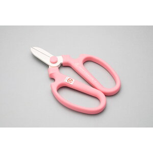 Ԃ͂ nhNG[V F170 sN Ep tbfR[eBO { | K[fjO ƒ؉ ⌹