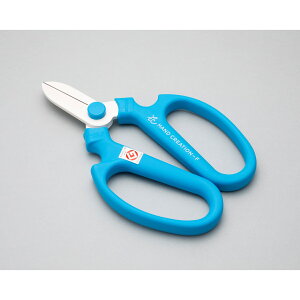 Ԃ͂ nhNG[V F170 XJCu[ Ep tbfR[eBO { | K[fjO ƒ؉ ⌹