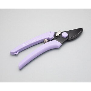 ͂ nhNG[V P180 x_[ Ep n tbfR[eBO { | K[fjO ƒ؉ ⌹