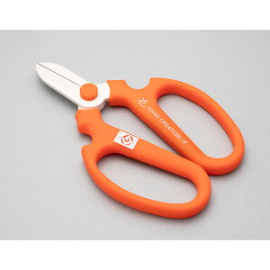 Ԃ͂ nhNG[V F170 IW Ep tbfR[eBO { | K[fjO ƒ؉ ⌹