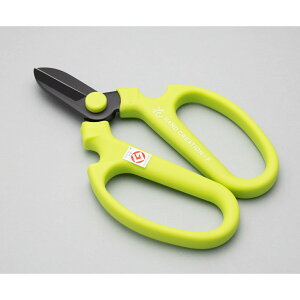 Ԃ͂ nhNG[V F170 CO[ Ep n tbfR[eBO { | K[fjO ƒ؉